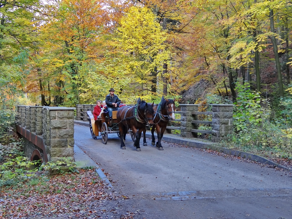 Pferdekutsche im Herbst