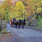 Pferdekutsche im Herbst