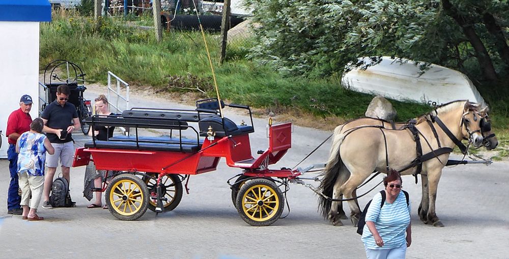 Pferdekutsche in Beege