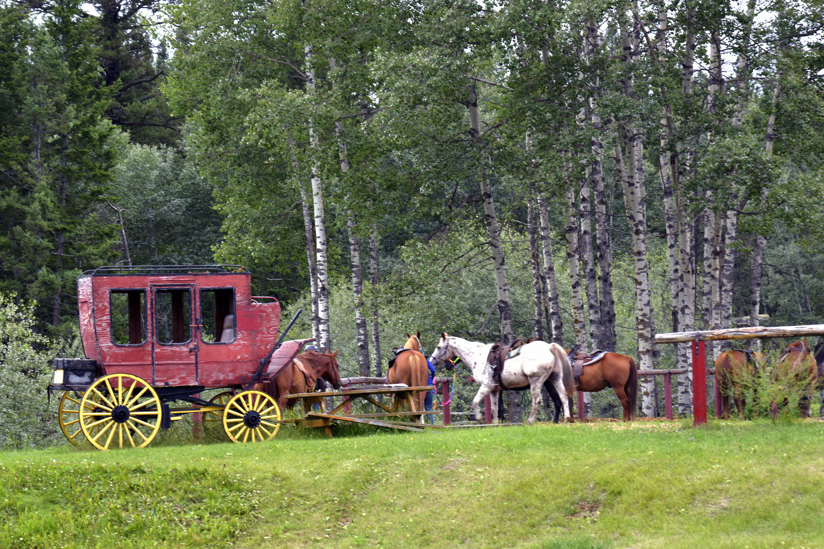 Pferdekutsche in Kanada