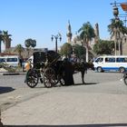 Pferdekutsche in Luxor 