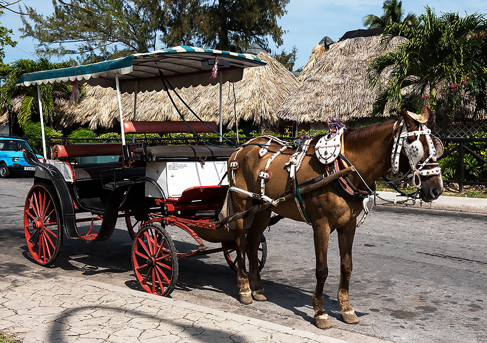 Pferdekutsche in Varadero