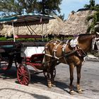 Pferdekutsche in Varadero