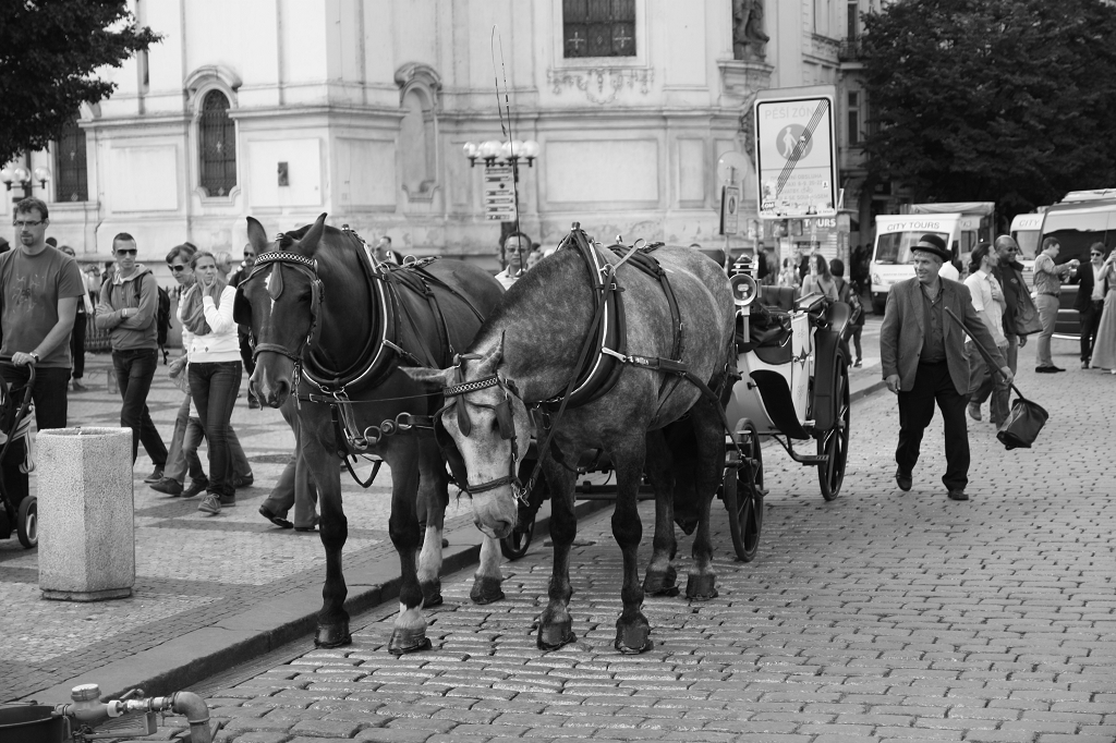 Pferdekutsche Prag