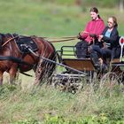 Pferdekutsche und zwei Mädels dazu.