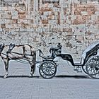 pferdekutsche vor der kathedrale in palma , hdr