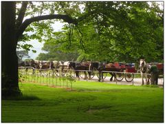 Pferdekutschen am Muckross House