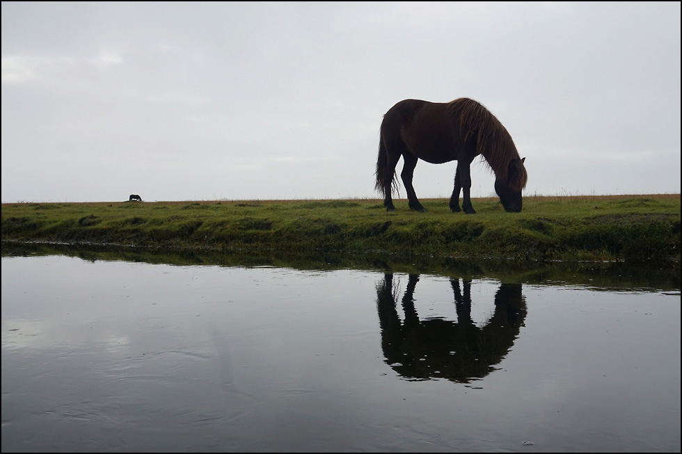 Pferdeland Island