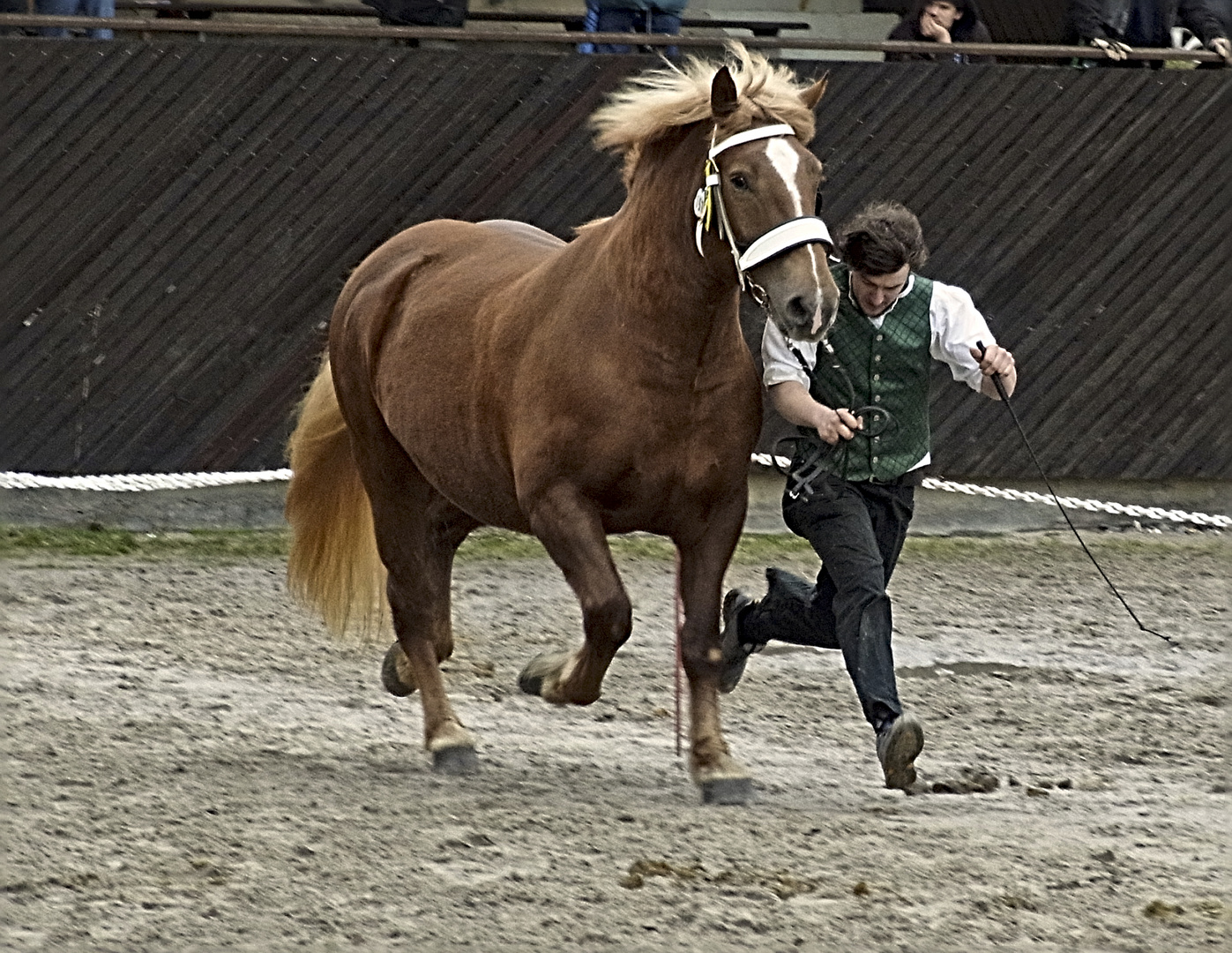 Pferdemarkt 2016 Leonberg 1