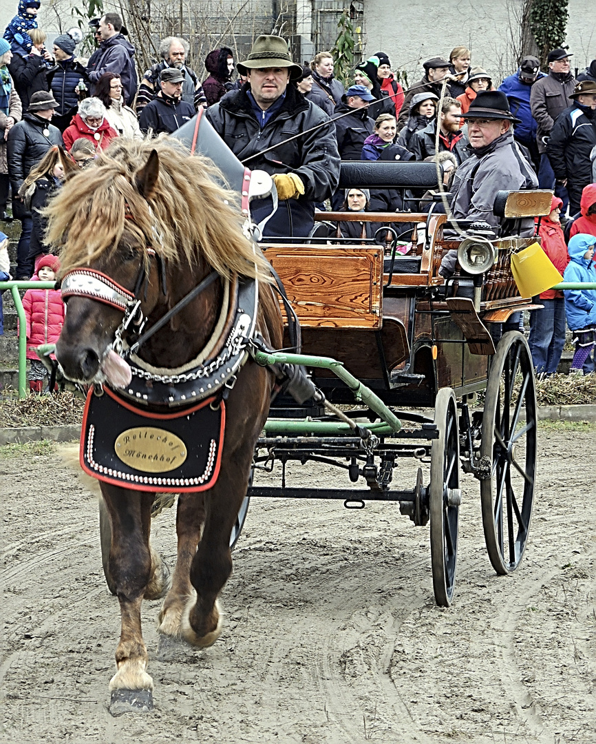 Pferdemarkt 2016 Leonberg 2