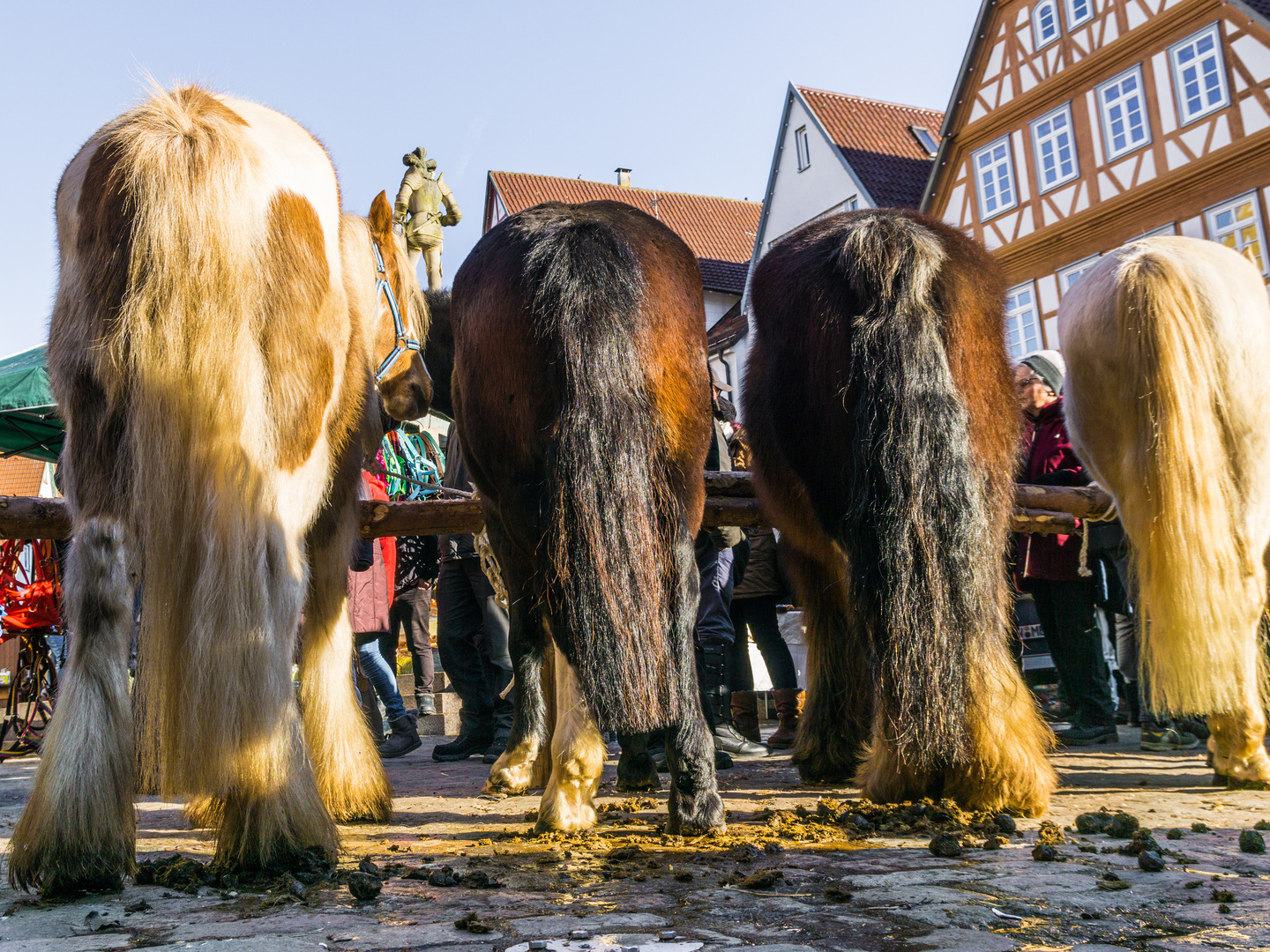 Pferdemarkt 