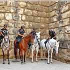 Pferdepolizei in Sevilla (Andalusien)