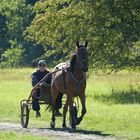 Pferderennbahn-Hoppegarten (Trainingsbahn)