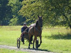 Pferderennbahn-Hoppegarten (Trainingsbahn)