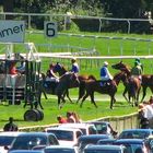 Pferderennbahn Weidenpesch 4.Rennen vor dem Start