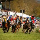 Pferderennen 18.04.10 Zweibrücken