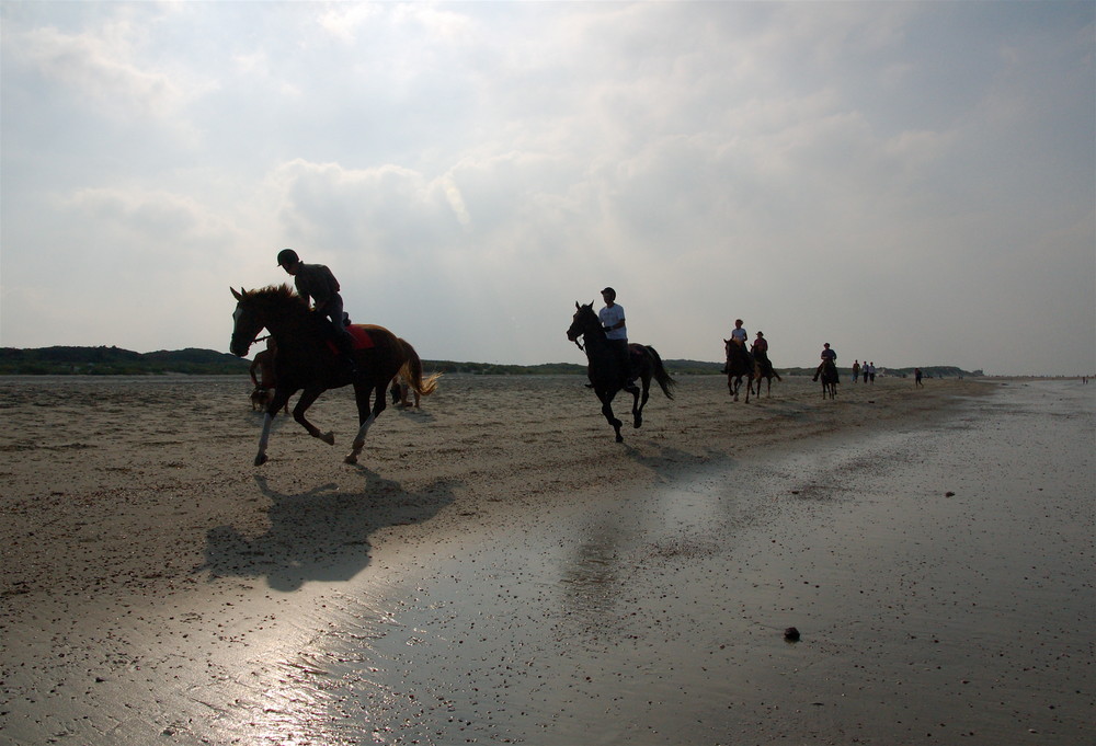 Pferderennen am Strand