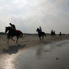 Pferderennen am Strand