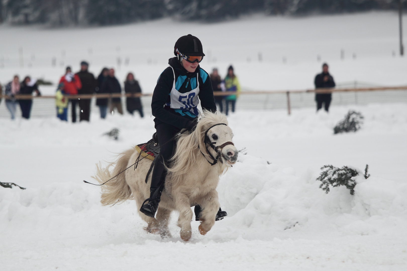 Pferderennen im Schnee