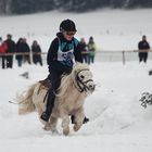 Pferderennen im Schnee