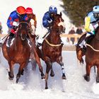 Pferderennen in Arosa im Jaunuar 08