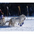 Pferderennen in St. Moritz