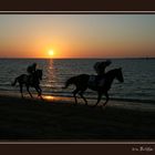 Pferderennen Sanlucar