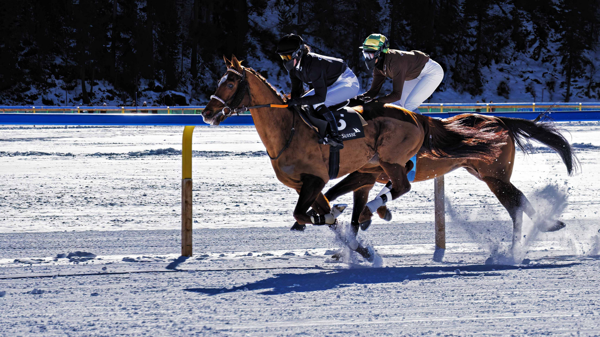 Pferderennen St. Moritz 2