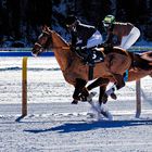 Pferderennen St. Moritz 2
