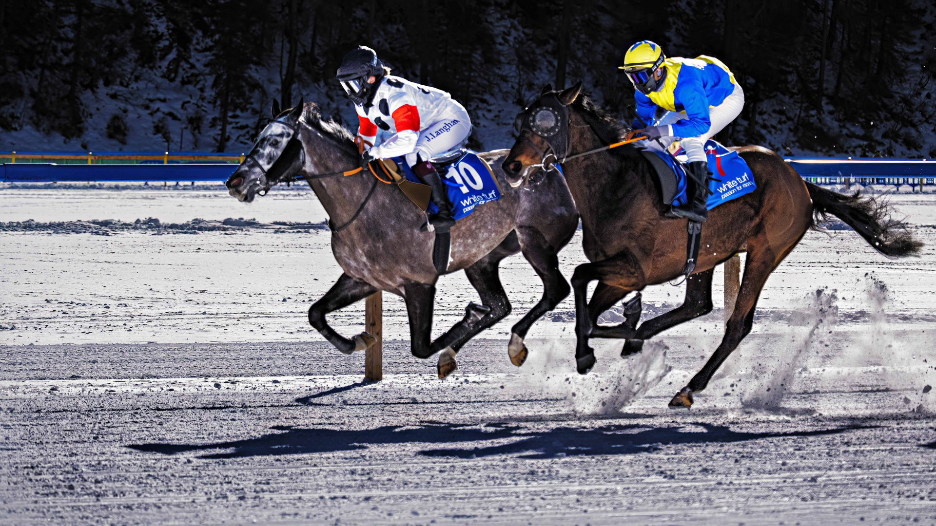 Pferderennen St. Moritz 3