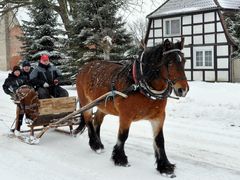 Pferdeschlitten-Winter2010
