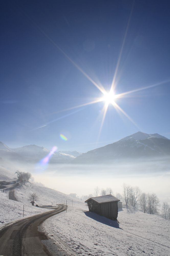 Pferdeschlittenfahrt in Österreich by Carolin Albert 