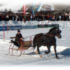 Pferdeschlittenrennen in Reit im Winkl 10.02.2008