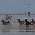 Pferdesport auf dem Meeresgrund ;-)