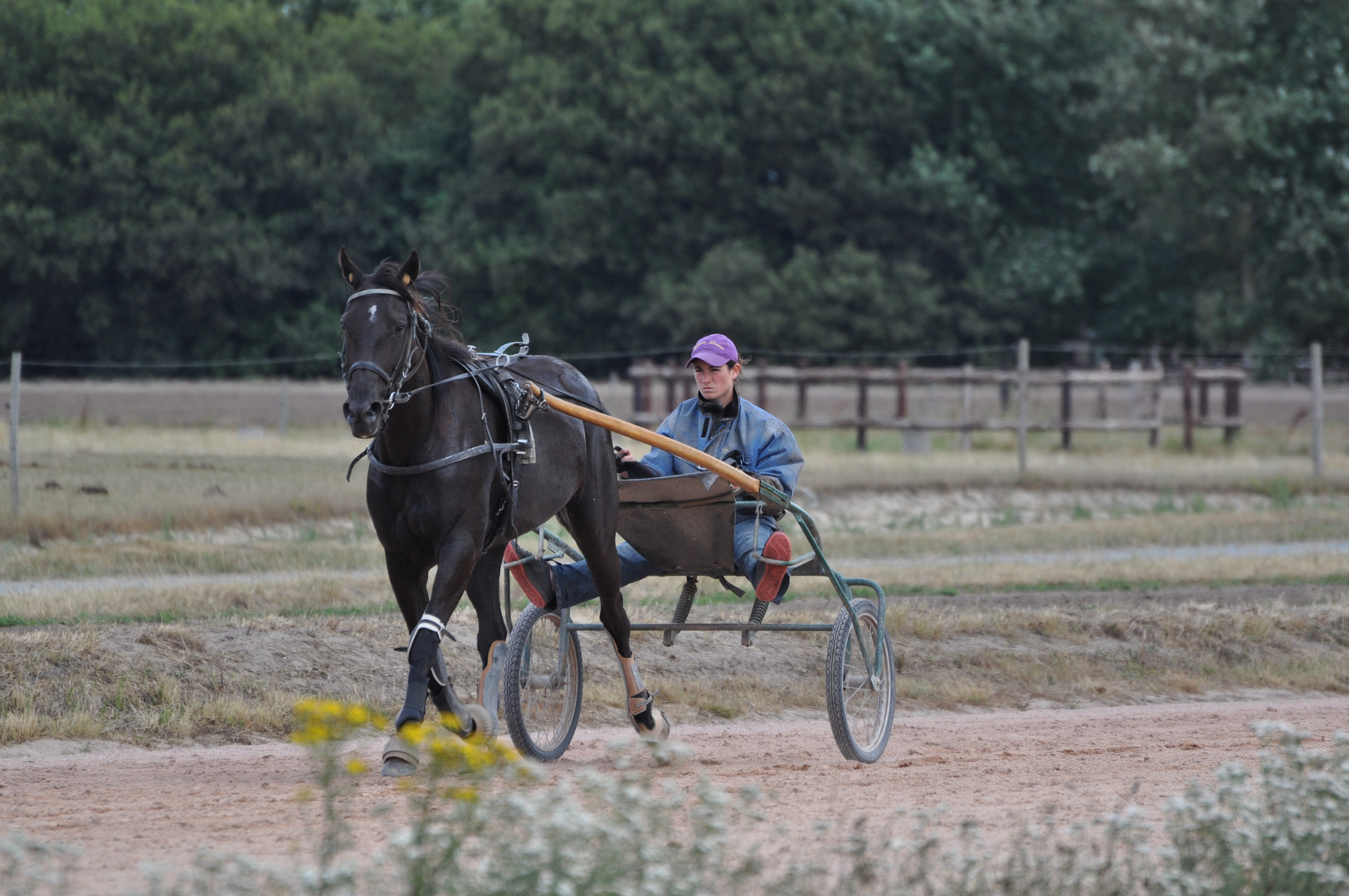 Pferdesport in der Normandie