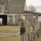 Pferdestall am Strelasund