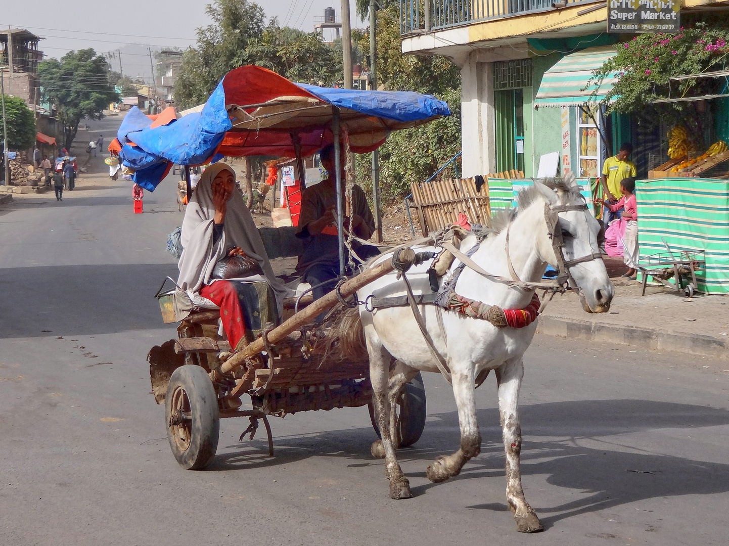 Pferdetaxi in Gondar, Ethipia