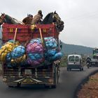 Pferdetransporter im Atlas Gebirge