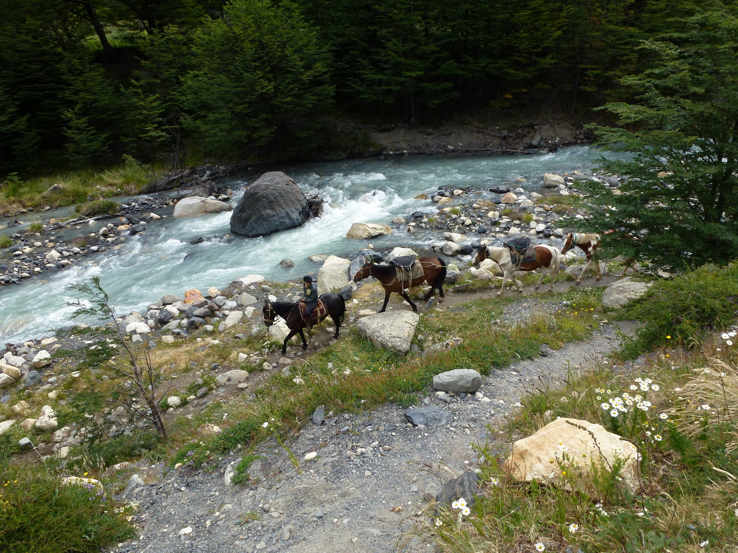 Pferdetreck im Torres del Paine NP