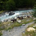 Pferdetreck im Torres del Paine NP