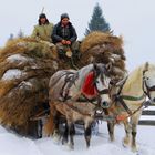 Pferdewagen in den Karpaten