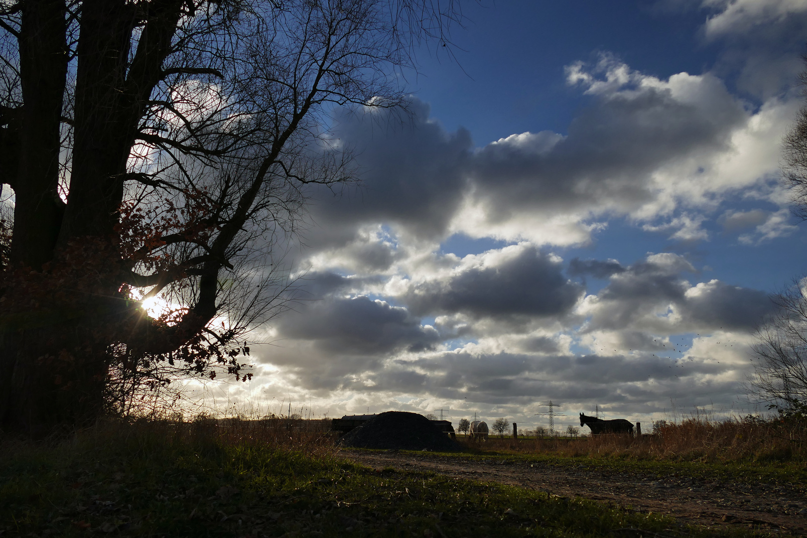 Pferdeweiden im Auenland