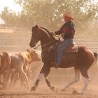 Pferd+Reiter bei der Arbeit