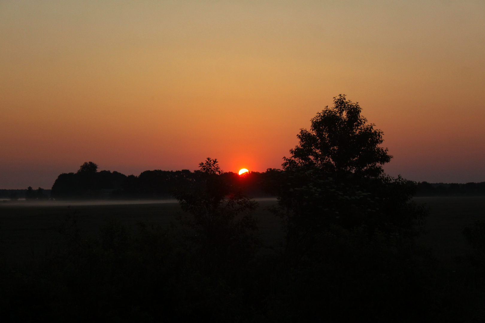 Pfingssonntag, 05.06.2022 / die Sonne geht auf