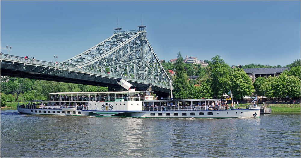 Pfingstausfahrt auf der Elbe bei Dresden (Bild 3)