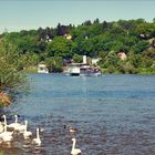 Pfingstausfahrt auf der Elbe bei Dresden (Bild 5)