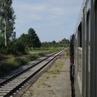 Pfingstausflug mit der Bergkönigin von Halberstadt über Blankenburg (Harz) nach Rübeland 5.