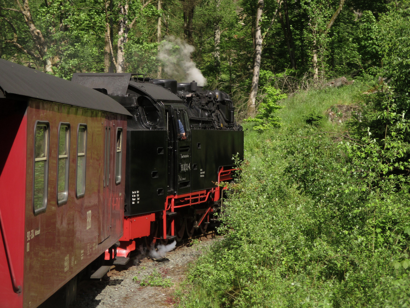 Pfingstausflug mit der Harzquerbahn 3.