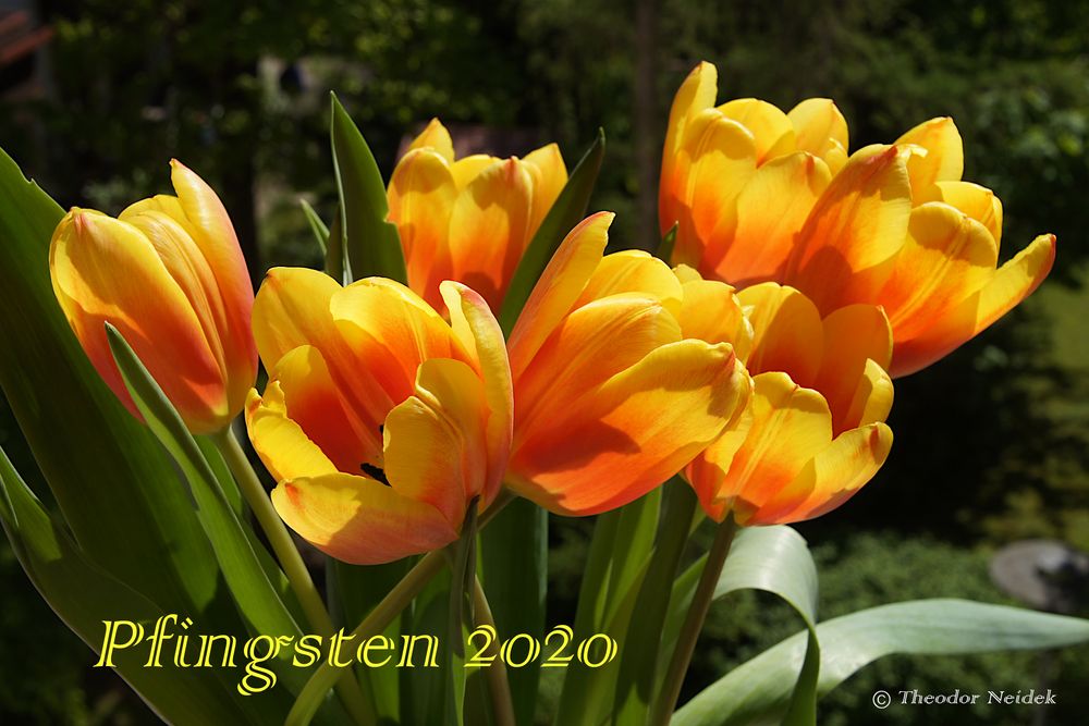 Pfingsten 2020