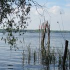 Pfingsten am Tegeler See